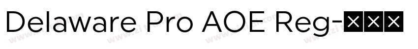 Delaware Pro AOE Reg字体转换 Delaware Pro AOE Reg字体转换
